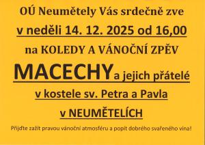 Macechy